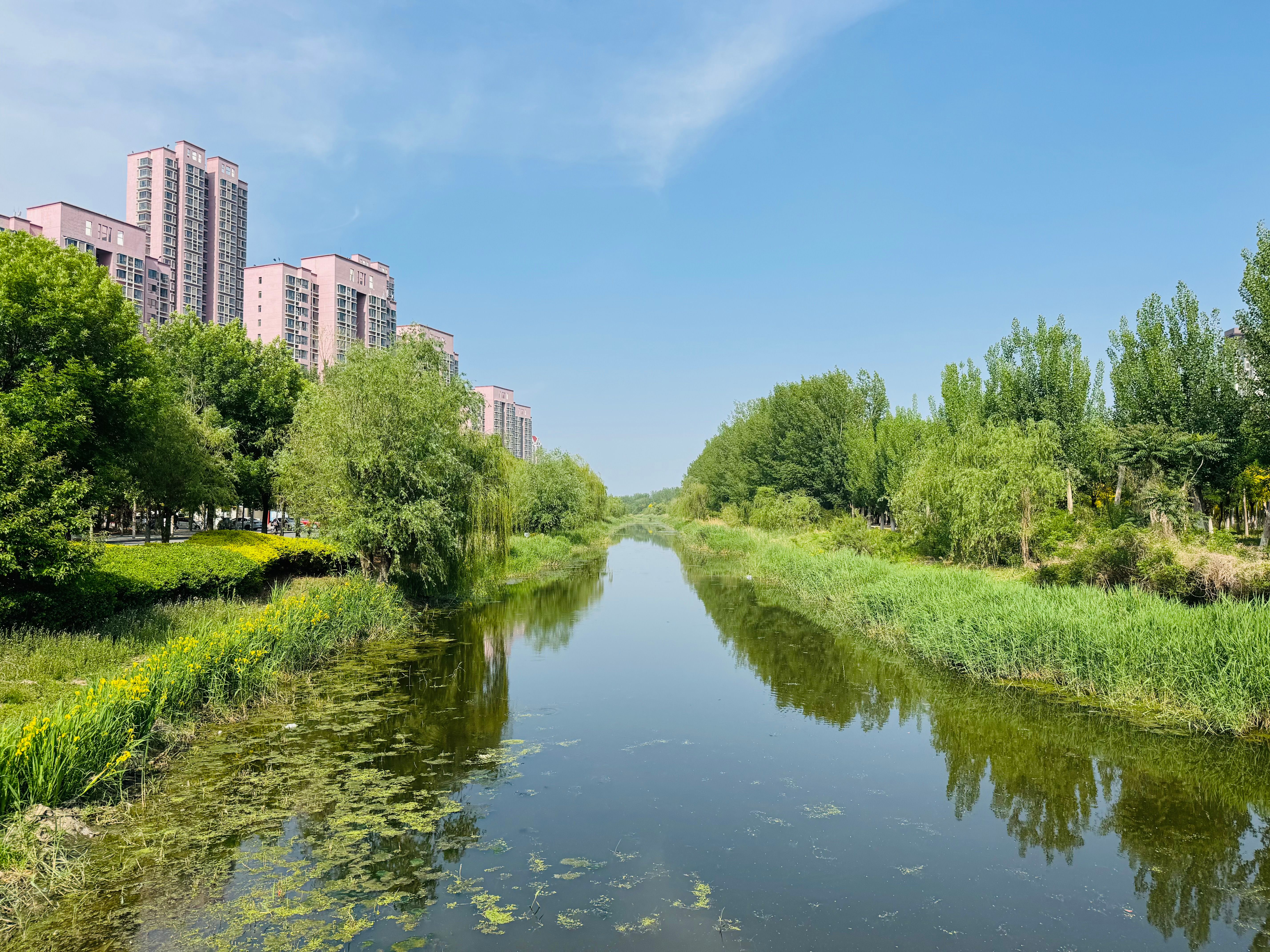 Riparian Land in Kenya: The Legal and Development Tension Along Rivers and Wetlands